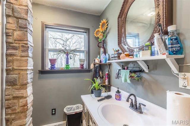 345 Johns Branch Rd, Wappapello, MO 63966 - bathroom with vanity