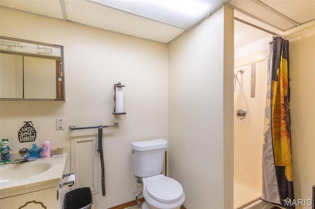 345 Johns Branch Rd, Wappapello, MO 63966 - bathroom featuring a shower stall, toilet, and vanity