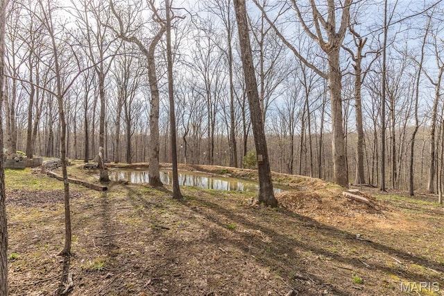 345 Johns Branch Rd, Wappapello, MO 63966 - view of yard featuring a forest view and a water view