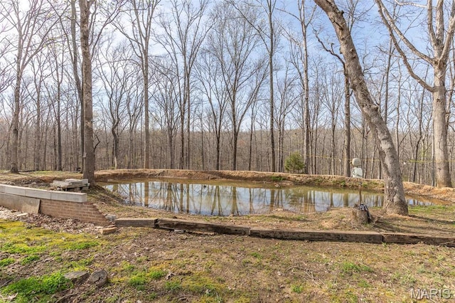 345 Johns Branch Rd, Wappapello, MO 63966 - water view featuring a heavily wooded area