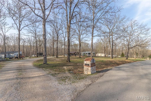 345 Johns Branch Rd, Wappapello, MO 63966 - view of road