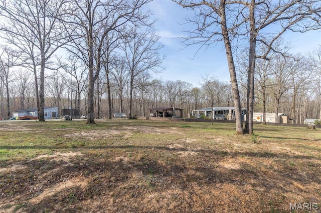 345 Johns Branch Rd, Wappapello, MO 63966 - view of yard