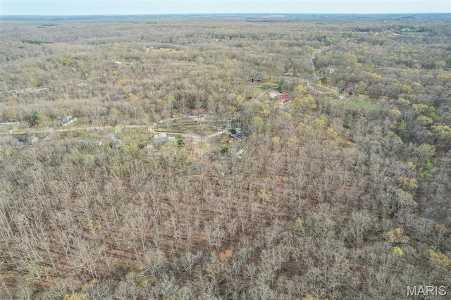 345 Johns Branch Rd, Wappapello, MO 63966 - view of property location with a heavily wooded area
