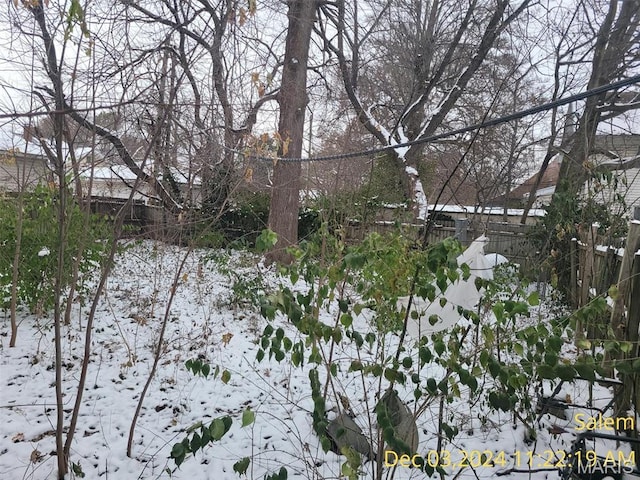 404 W Schwartz St, Salem, IL 62881 - yard layered in snow with fence