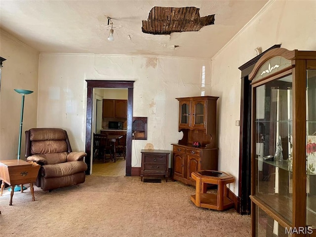 sitting room featuring light colored carpet