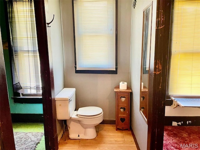 bathroom with wood finished floors, toilet, and baseboards
