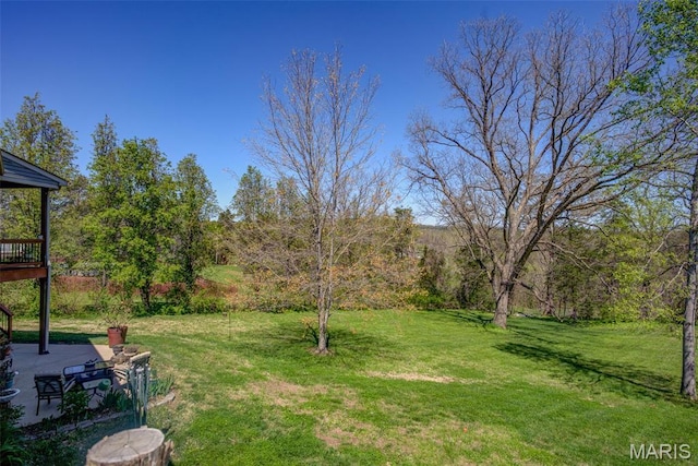 208 Augusta Village Pl, Augusta, MO 63332 - photo 35