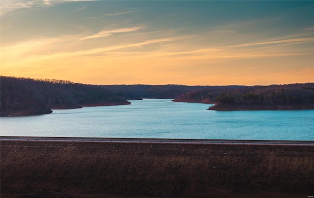 water view with a forest