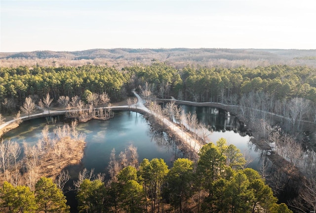 view of property location with a heavily wooded area and a nearby body of water