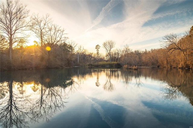 water view with a heavily wooded area