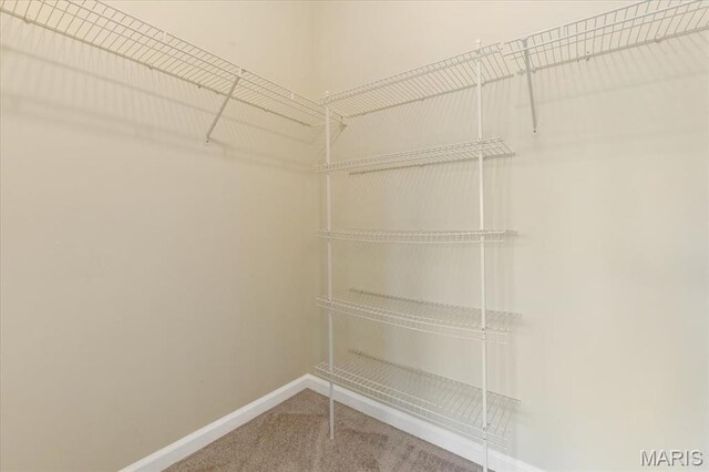 13374 Wintergreen Estates Dr, Fenton, MO 63026 - spacious closet with carpet