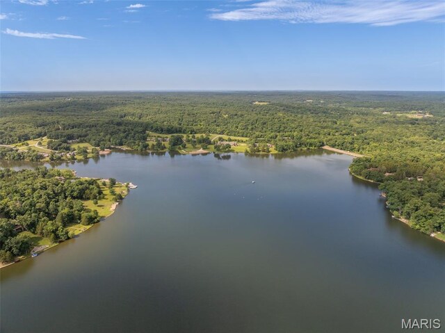 152 Geneva Cove Dr, Innsbrook, MO 63390 - bird's eye view of a forest and a large body of water