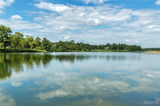152 Geneva Cove Dr, Innsbrook, MO 63390 - water view