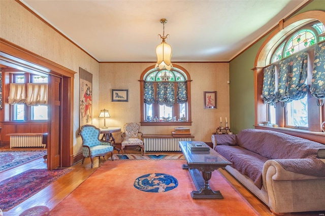 living room featuring radiator, wood finished floors, and crown molding