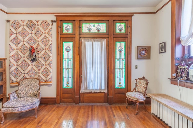 entryway featuring radiator heating unit and wood-type flooring