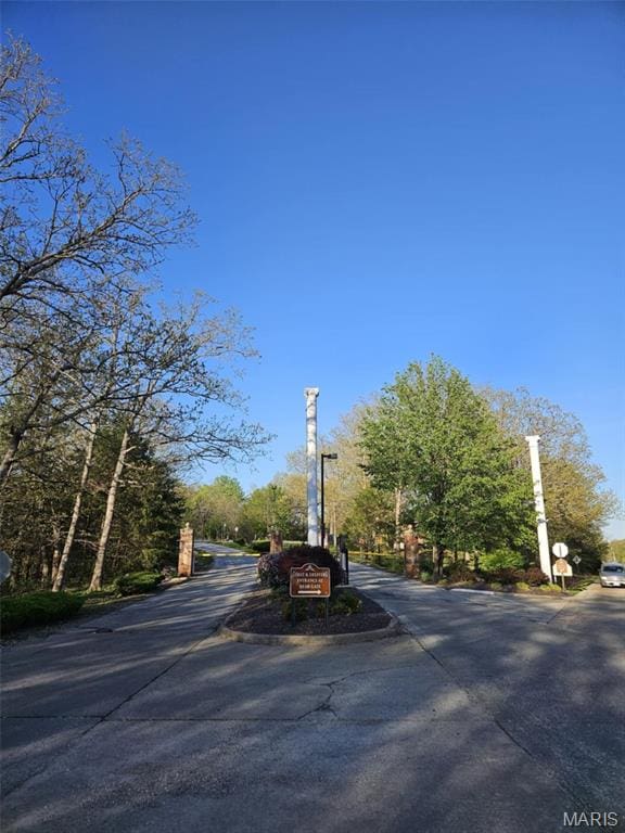 12 Sumter Dr, Hillsboro, MO 63050 - view of asphalt road with traffic signs