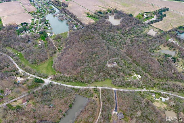 6 N Shore Dr, Worden, IL 62097 - photo 52