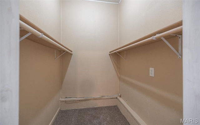 406 Locust St, Richland, MO 65556 - spacious closet featuring carpet flooring