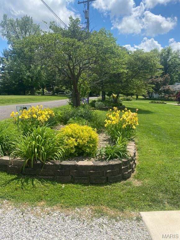 705 Linder Blvd, Greenville, IL 62246 - view of grassy yard