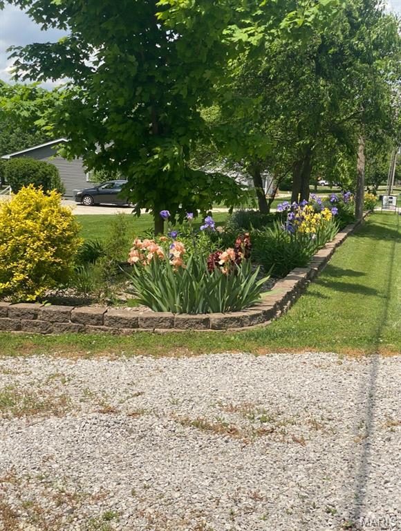 705 Linder Blvd, Greenville, IL 62246 - view of yard