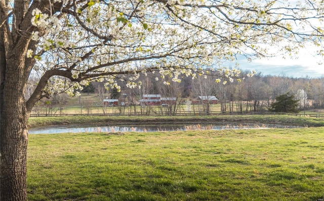 view of yard featuring a water view