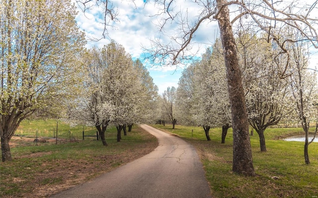 surrounding community with a lawn and driveway