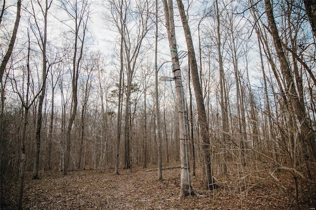 view of tree filled area