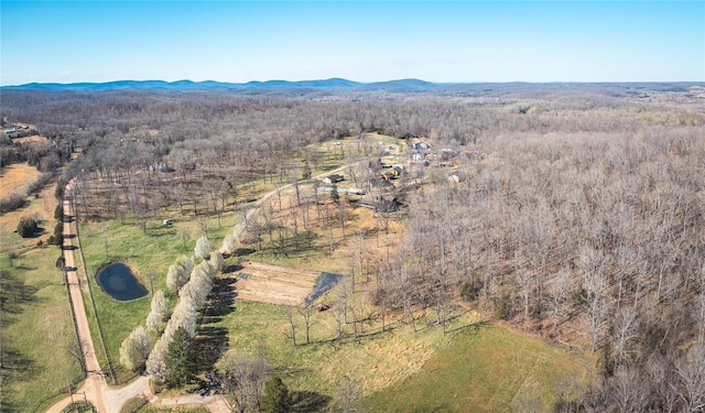 aerial view of a forest and a mountainous background