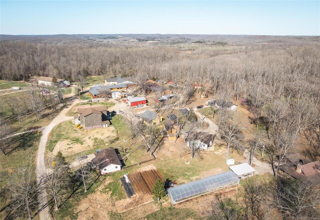 bird's eye view of a forest