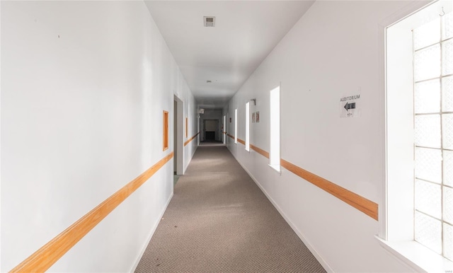 hall featuring carpet floors, healthy amount of natural light, and baseboards