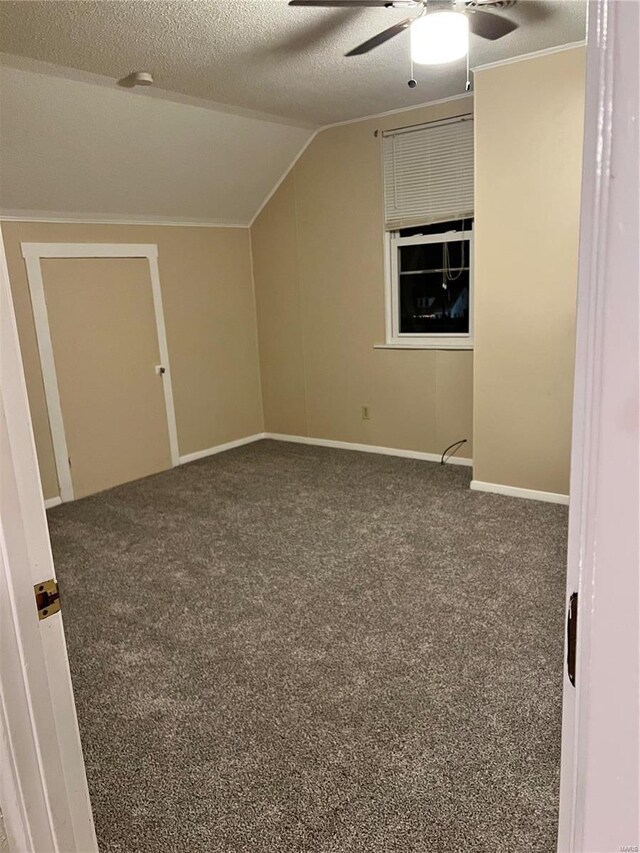 108 Rau St, Waterloo, IL 62298 - additional living space with ceiling fan, carpet floors, vaulted ceiling, a textured ceiling, and baseboards