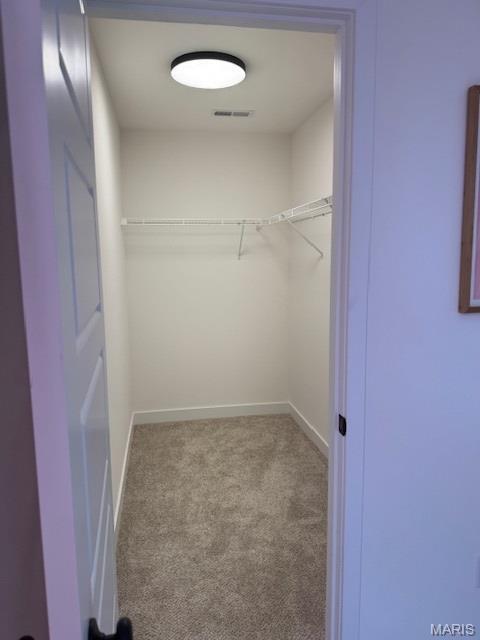 222 Grand Vista Ct, Edwardsville, IL 62025 - photo 19