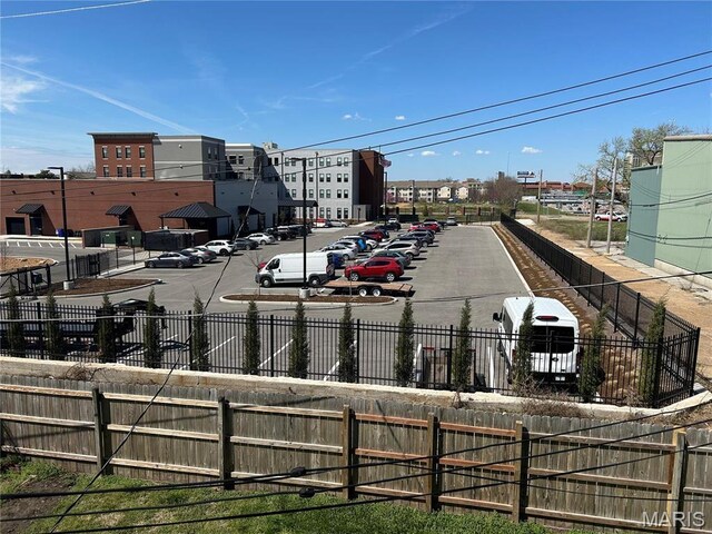 919 S Boyle Ave, Saint Louis, MO 63110 - photo 29