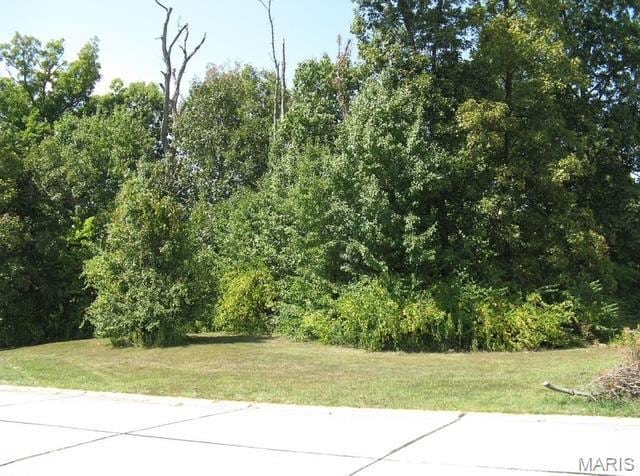 106 Bruns Place Ct, Saint Peters, MO 63376 - photo 3