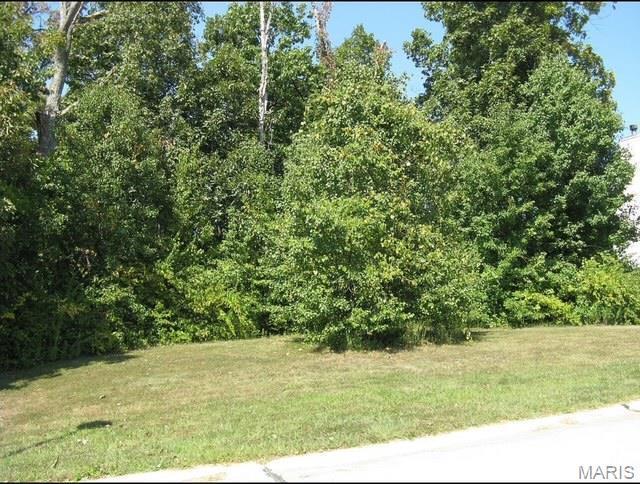 106 Bruns Place Ct, Saint Peters, MO 63376 - photo 4