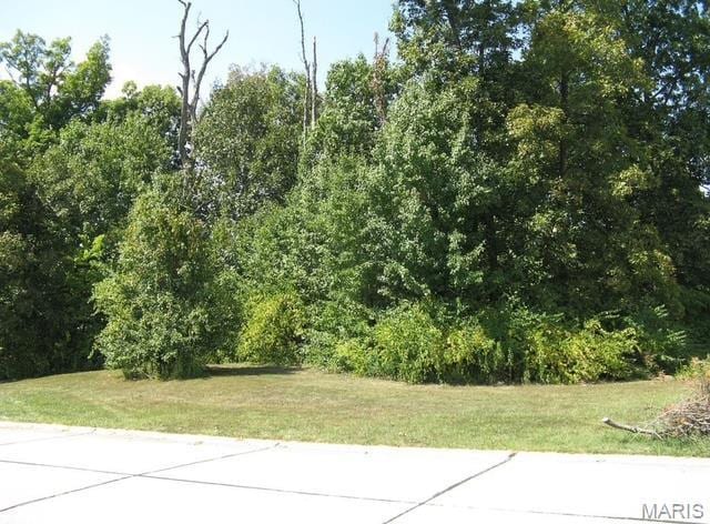 106 Bruns Place Ct, Saint Peters, MO 63376 - photo 5