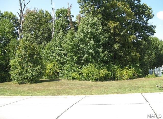 106 Bruns Place Ct, Saint Peters, MO 63376 - photo 6