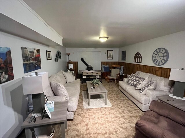 515 Rue Lamande, Bonne Terre, MO 63628 - view of living area