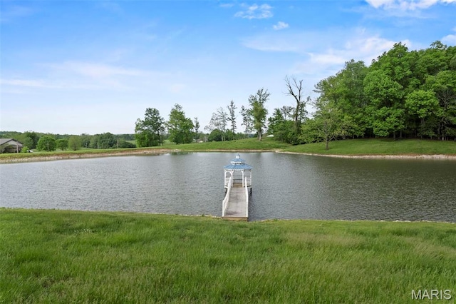 2920 County Road 638, Cape Girardeau, MO 63701 - photo 20