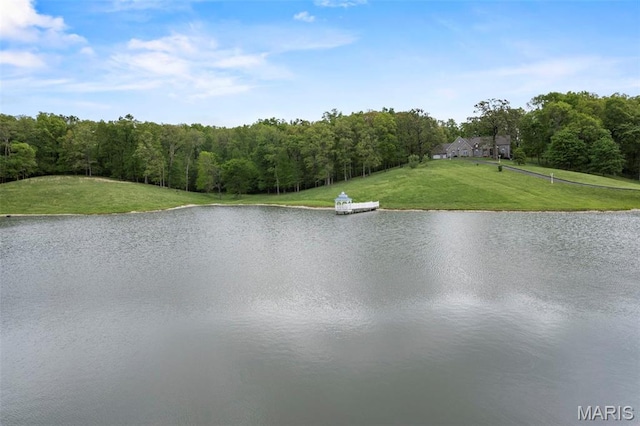 2920 County Road 638, Cape Girardeau, MO 63701 - photo 22