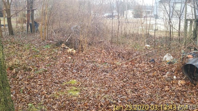 206 N 11th St, Coulterville, IL 62237 - view of nature
