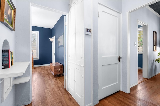 669 Park Ave, Sikeston, MO 63801 - corridor featuring wood finished floors and baseboards