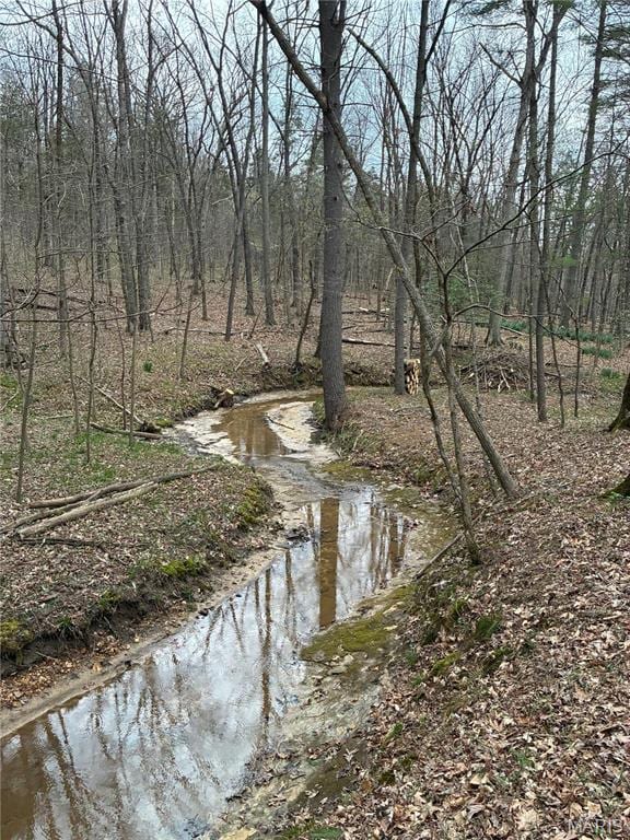 1400 Timber Valley Ct, Pacific, MO 63069