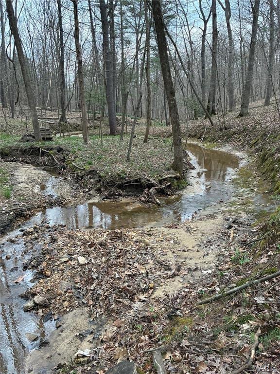 1400 Timber Valley Ct, Pacific, MO 63069