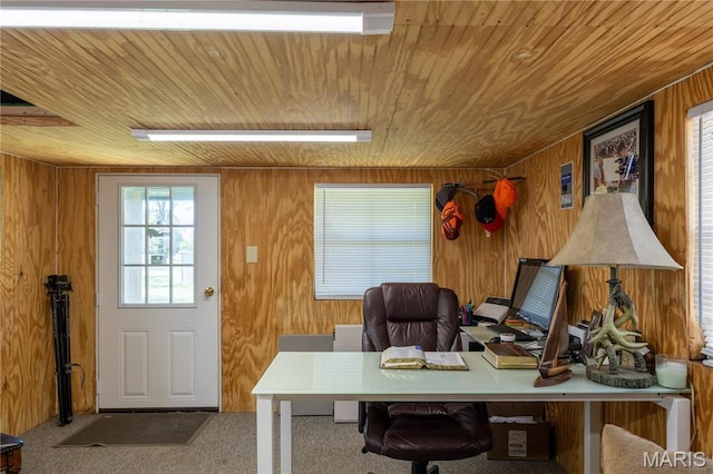 113 Lynn, Sikeston, MO 63801 - photo 28