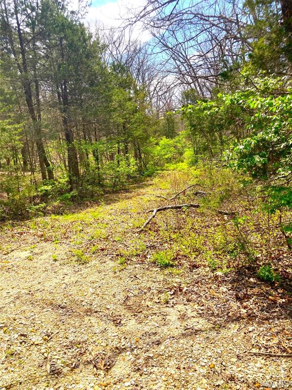 507 Pinewood Dr, Catawissa, MO 63015