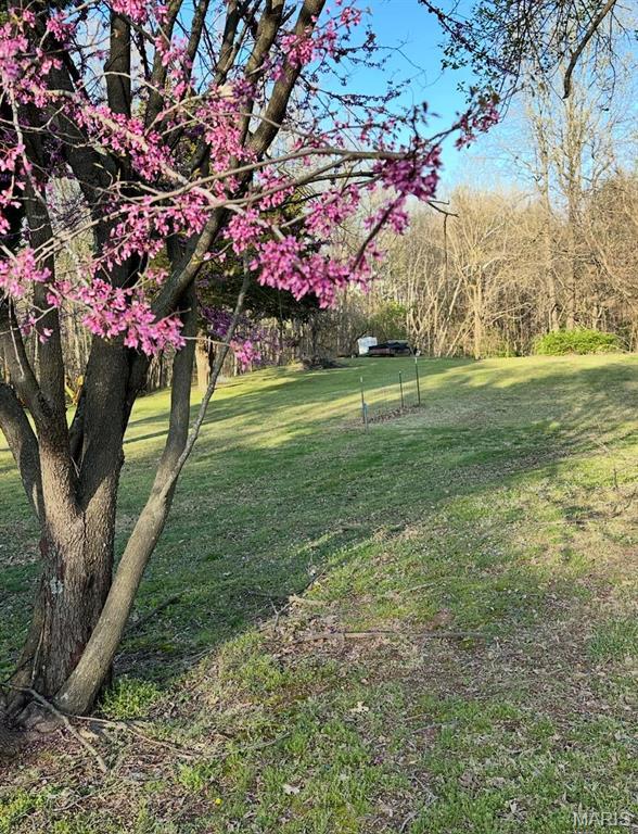 view of grassy yard
