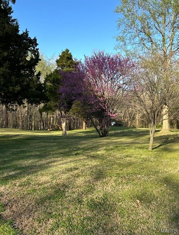 view of grassy yard