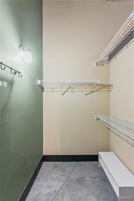 1123 Washington Ave Unit 305, Saint Louis, MO 63101 - view of spacious closet