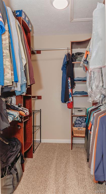 17145 Lensman Rd, Saint Robert, MO 65584 - spacious closet with carpet and attic access